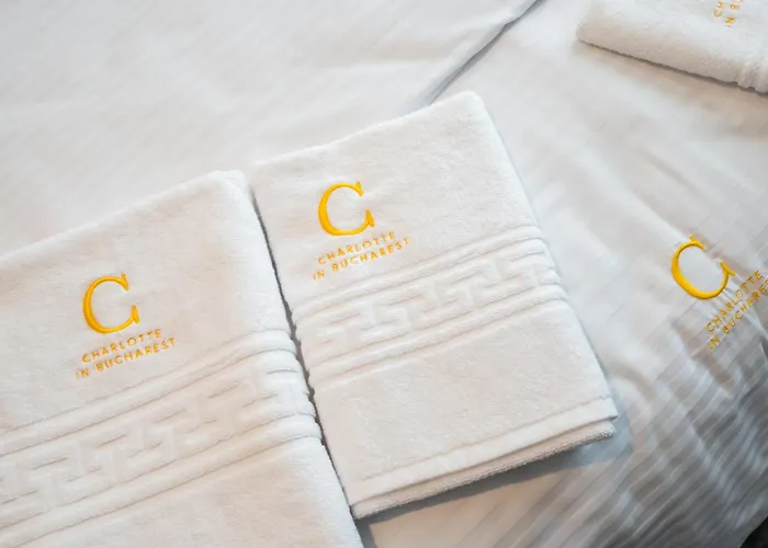 Charlotte Grand Apartment