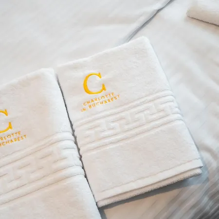 Charlotte Grand Appartement